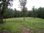 Lot 3 Homestead Lane Lead Hill, AR 72644 - Image 266382