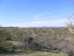 0 E Percheron Road #127 Wickenburg, AZ 85390 - Image 269462