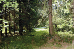 11-Lot 11 Skinner Rd Granite Falls, WA 98252 - Image 269501