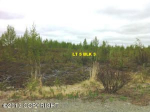 15057 W Drowsy Drive Big Lake, AK 99652 - Image 271185