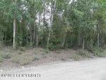 14736 W Rocky Lake Drive Big Lake, AK 99652 - Image 271192