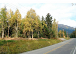 L43 Crow Creek Road Girdwood, AK 99587 - Image 275053