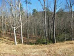 Cliffs Mtn Park Sec 1 Lot 56 (Apn# Marietta, SC 29661 - Image 275474