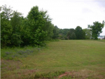 000 Naomi Drive Rogersville, AL 35652 - Image 275687