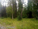 22786 W Diamond Circle Big Lake, AK 99652 - Image 275904