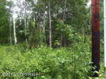 2569 S Knollwood Drive Big Lake, AK 99652 - Image 275906