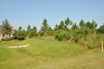 0 Roscoe Rd Orange Beach, AL 36561 - Image 276958