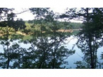 Lot 9 Longview Landing Arley, AL 35541 - Image 278911