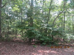 Lot129 129 Western Trl Carthage, NC 28327 - Image 280213