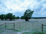 0 County Road 670 Blue Ridge, TX 75424 - Image 280836