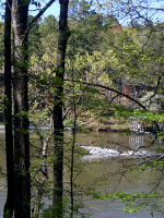 147 Carl Finch Rd Hot Springs National Park, AR 71913 - Image 280815