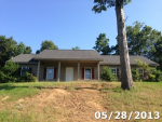 11803 Day Lake Dr Brookwood, AL 35444 - Image 282667