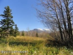 13440 Lamb Drive Anchorage, AK 99516 - Image 285108