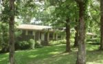 19 Meadowview Dr Jasper, AL 35501 - Image 285563