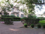 3 Birchwood Ct #3M Mineola, NY 11501 - Image 286837