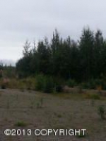 766 S Wolf Road Big Lake, AK 99652 - Image 290768