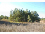 NKA DIAGONAL RD. LOT 2 Rathdrum, ID 83858 - Image 292889