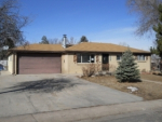 1069 S SAULSBURY ST Denver, CO 80226 - Image 294463