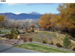 6832 Goldbranch Dr Longmont, CO 80503 - Image 297706