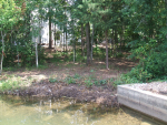 4/1 Armada 14 Levantino Lane Hot Springs Village, AR 71909 - Image 301286