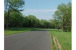 LOT 51 KELSEY JO Ln Eddyville, KY 42038 - Image 301228