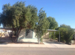 2071 S WHITEWING AVE Yuma, AZ 85364 - Image 302158