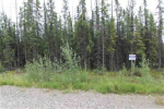 1172 Shooting Star Court North Pole, AK 99705 - Image 302790