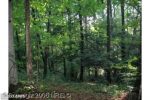 Mink Hollow Highland, MD 20777 - Image 302815