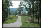 LOT 50 KELSEY JO Ln Eddyville, KY 42038 - Image 305461