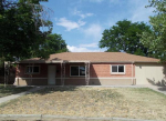 9400 Nagel Dr Denver, CO 80229 - Image 305599