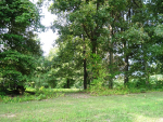 00 CHESTNUT LOT 13 Eddyville, KY 42038 - Image 308017