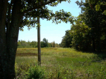 56.56 Acres CR 931 Jonesboro, AR 72403 - Image 310192