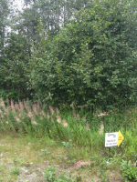 Lot 5 Gary Court Nikiski, AK 99635 - Image 312273