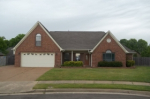 6414 Thistle Point Cv Memphis, TN 38135 - Image 313888