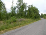 0 CO RD 1516 Cullman, AL 35058 - Image 314748