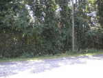 107 Greenwood Dr Lot#113 Daphne, AL 36526 - Image 315713