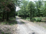 Pt lot 11-12 McGuire Rd Lamar, AR 72846 - Image 316593