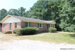 County Road 49 Columbiana, AL 35051 - Image 316997