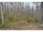 0 County Rd 1606 Cullman, AL 35058 - Image 319567