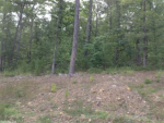 Lot 47 Chenay Little Rock, AR 72223 - Image 319833