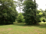 10425 County Road 64 Daphne, AL 36526 - Image 320193