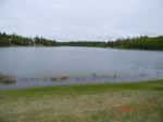 47615 Autumn Road Nikiski, AK 99635 - Image 320891