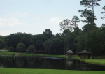 87 Shallow Springs Cove Fairhope, AL 36532 - Image 323161