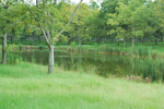 Lot 3 Bishop Road Fairhope, AL 36532 - Image 323166