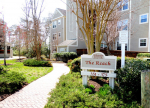 351 DRIFTWOOD LN #351 Solomons, MD 20688 - Image 325025