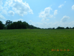 Hwy 64 Lamar, AR 72846 - Image 359855