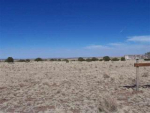 Lot 20 Buckskin Lane Concho, AZ 85924 - Image 365665