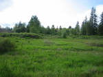 NE 177TH CIR LOT 9 Battle Ground, WA 98604 - Image 378915