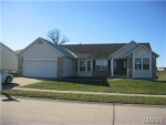 118 Brookshire Creek Dr Wentzville, MO 63385 - Image 379163