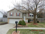 544 Briar Meadows Ct Wentzville, MO 63385 - Image 379166